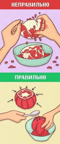 10 способов сделать обычные вещи в три раза быстрее - 9
