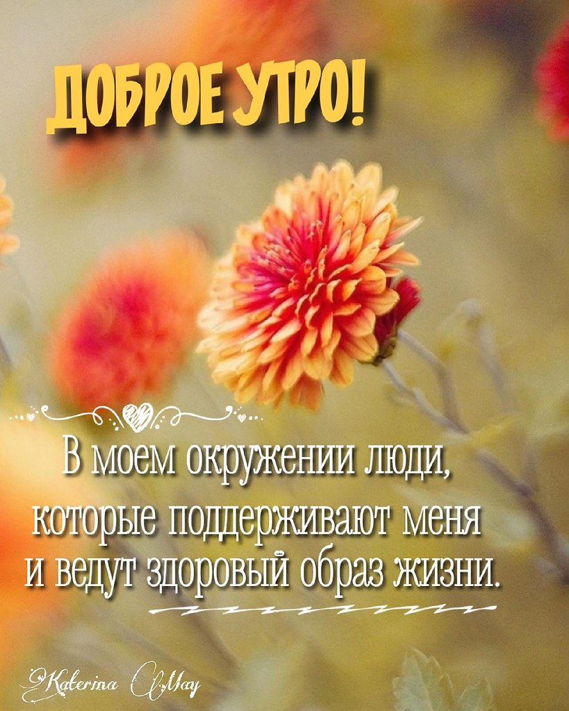 ПРИВЕТСТВИЯ и ПОЖЕЛАНИЯ, открытки на каждый день. опубликовал пост от 25  июня 2021 в 00:05 | Фотострана | Пост №2342807996