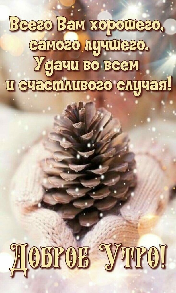   ,    . - 3  2021  00:43 - 9