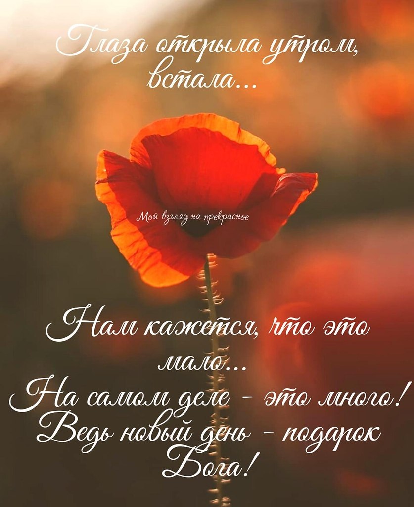   ,    . - 9  2021  22:05 - 8