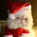 ���� ���� � 289), ����� - ��������� 21 ������� 2021 � ������ ���� ����������