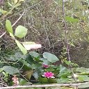 ���� �������, ����� - ��������� 24 ���� 2021 � ������ ���� ����������