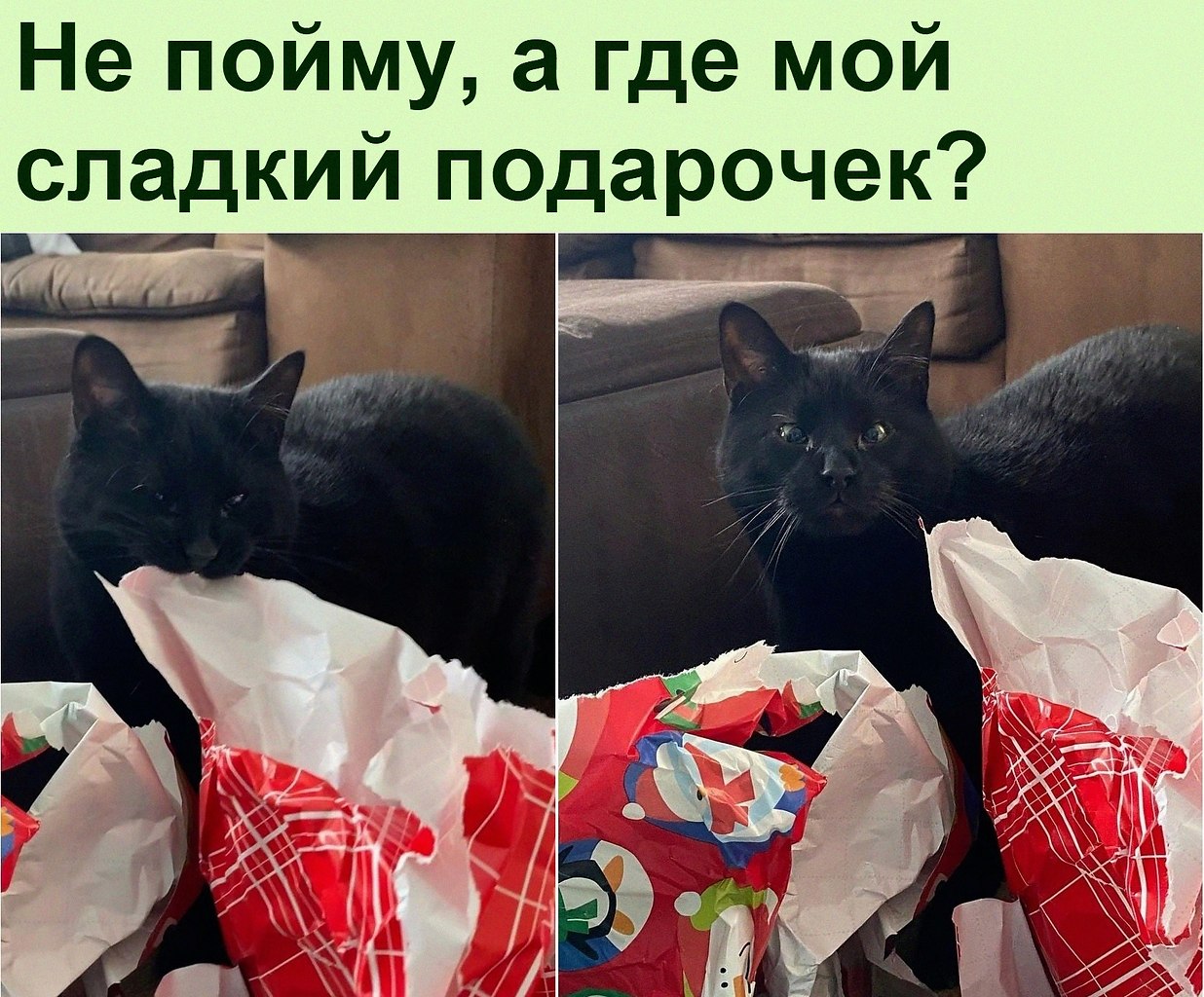   :D - 31  2021  20:17