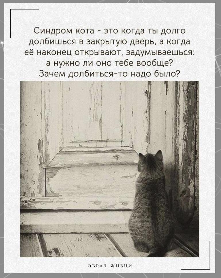  ).!