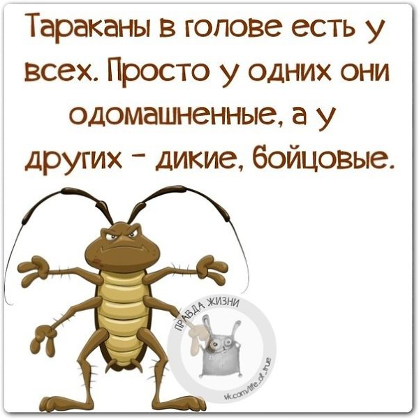 ������ ����� - 11 ������ 2021 � 23:00