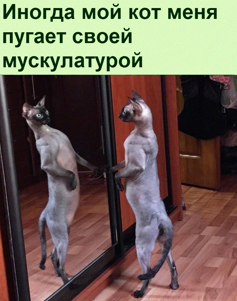   :D - 21  2022  22:53
