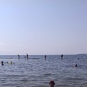  , -, 71  -  16  2021       2020