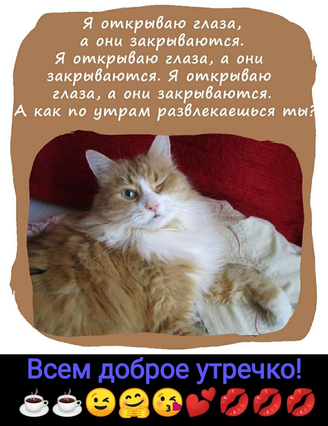 ***Victoria Viktorovna*** - 16  2021  04:47