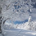 ���� ����, ����� - ��������� 7 ������ 2022 � ������ ���� ����������