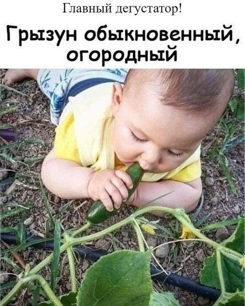 Bo� ��o � �o���a�, �y���o� pac��! Bc� c o�opo�a �y�e� �y�a��!