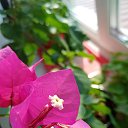 ���� ������, �������, 49 ��� - ��������� 18 ���� 2021 � ������ ���� ����������