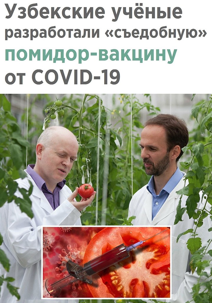    - 16  2021  08:32