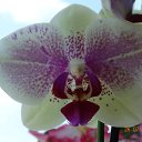 ���� �����, ��������, 69 ��� - ��������� 12 �������� 2021 � ������ ���� ����