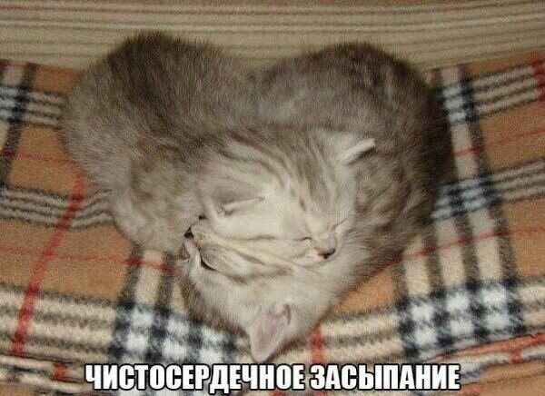    - 27  2021  12:27