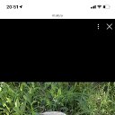 ���� Elena, ������, 42 ���� - ��������� 29 ������� 2021 � ������ �������