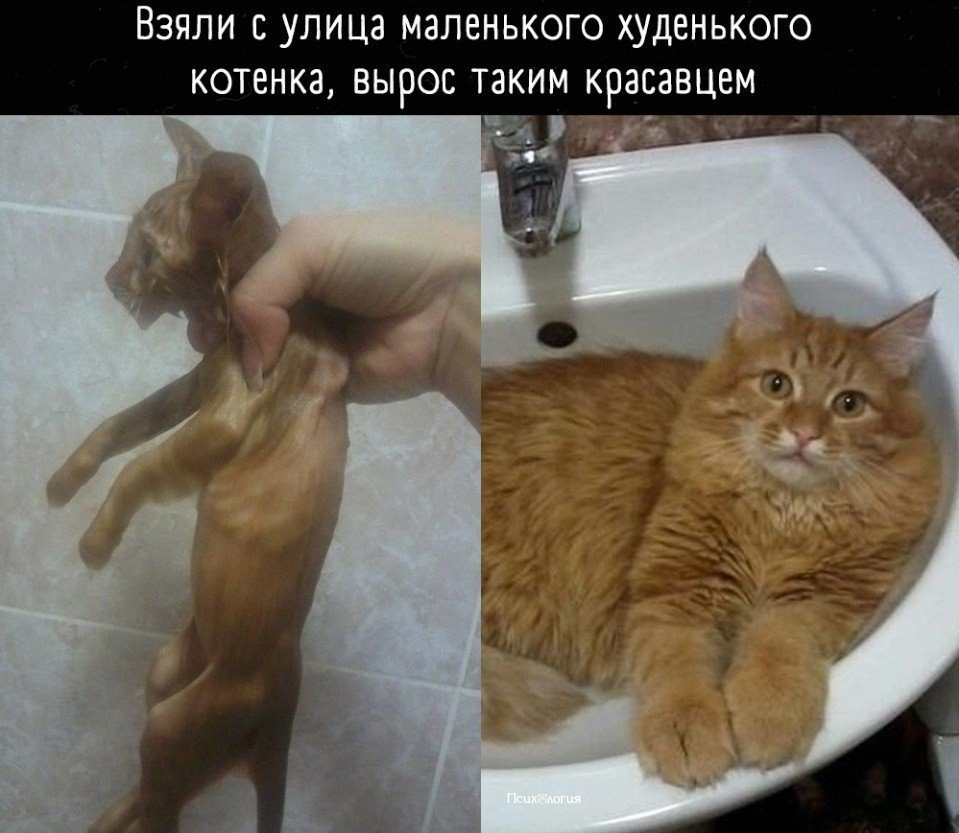      ,   ..