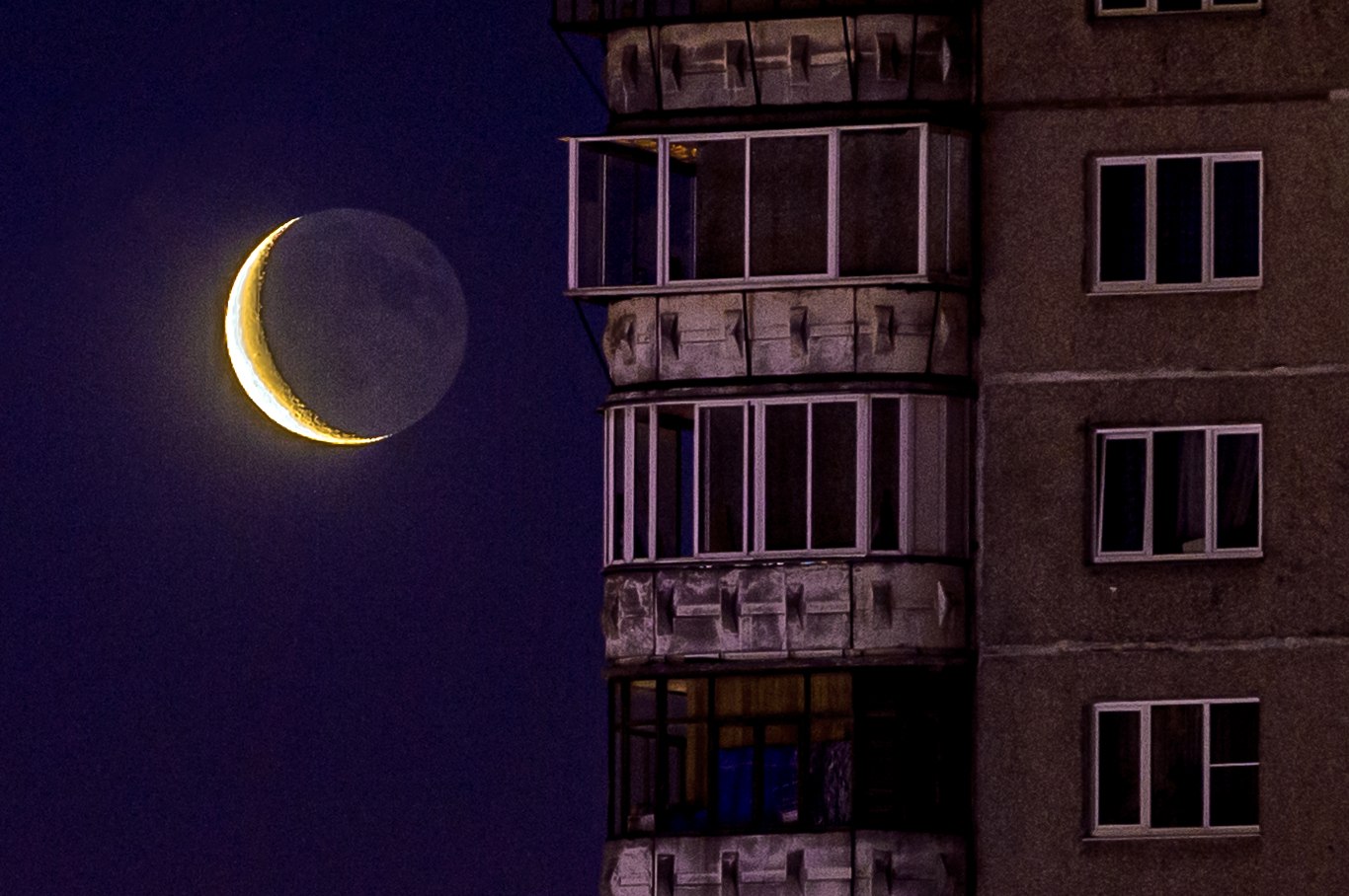 ������� ���������, 1 ������ ����. � ���� ����� ����� �� ��������� ����. � ����������� ����.