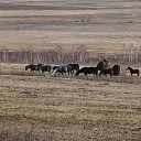 ������� �� ������� ���� ����������