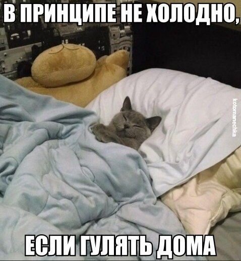    - 22  2021  18:23