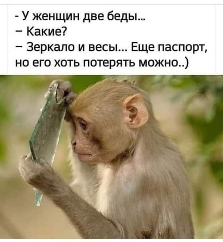   - 28  2021  09:02