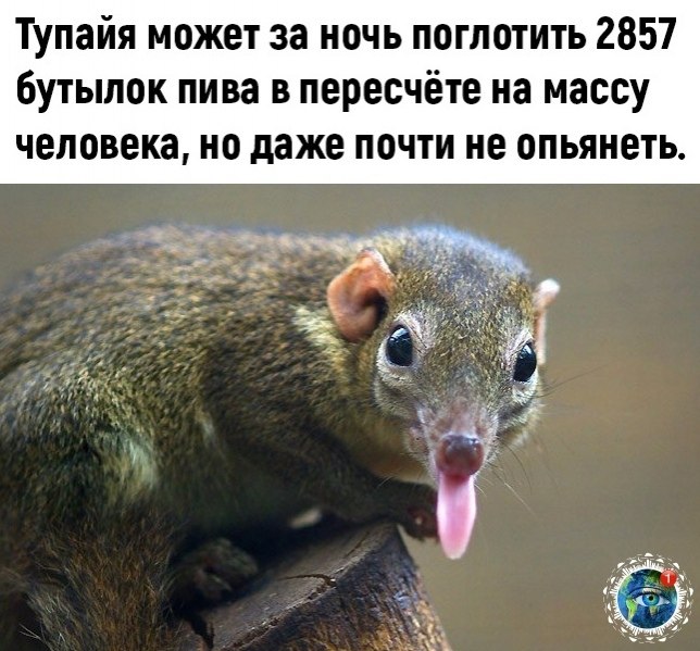 c   pa oeoe ooe...  - 3