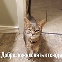  , , 33  -  18  2021    