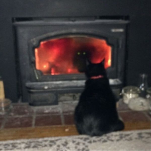 ׸���� ��� - ��� ���� ��������� ���������� ������� - 6