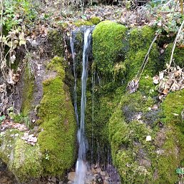 ����, �����