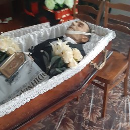 ���� ����������, ������� - ��������� 29 ������ 2022