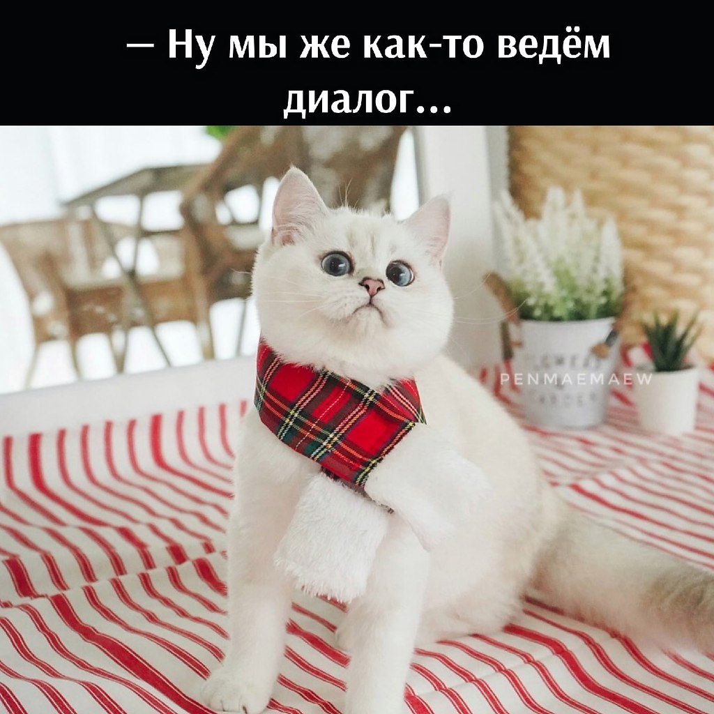       - 31  2021  16:21 - 4