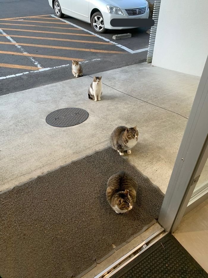       )) - 3