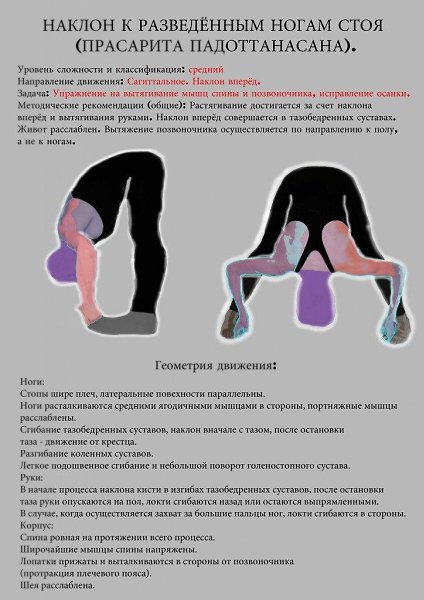 Комплекс асан с подробным описанием. Забирайте себе, чтобы не потерять! - 3