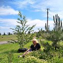 ��������� �� ������� ���� ����������