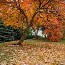 ���� �����, ���������, 67 ��� - ��������� 10 ������ 2021 � ������ ������ �� �������� �������.�