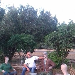 ��������, ������, 63 ����