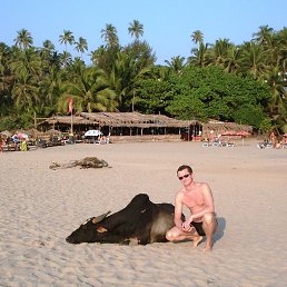 ��������, ������, 45 ���