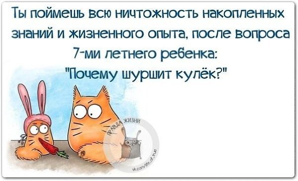 ������ ����� - 12 ������ 2021 � 10:20