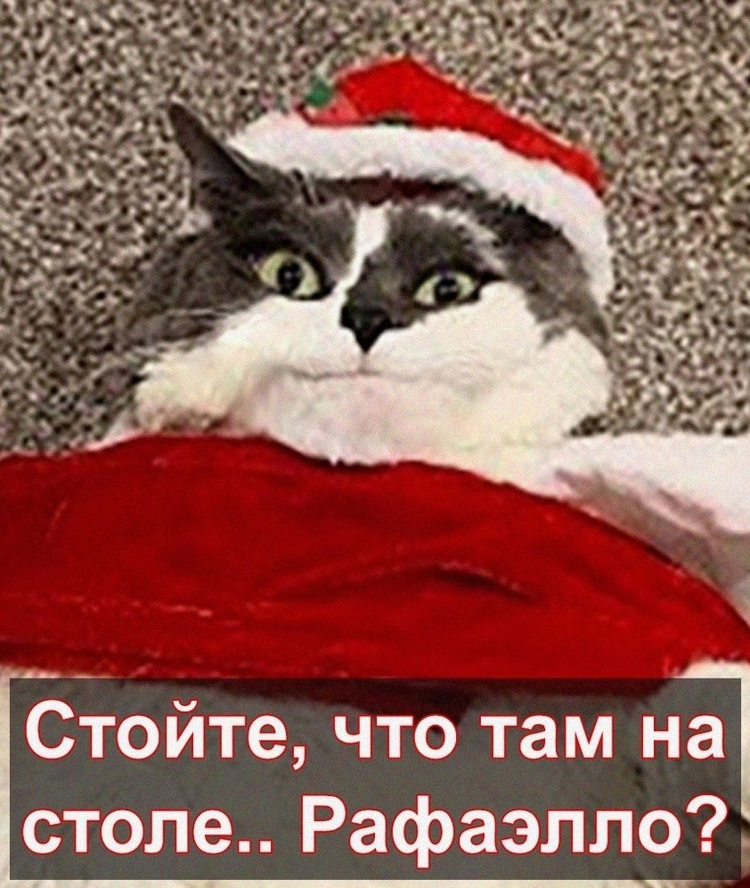  :D - 31  2021  16:19 - 6