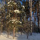 ���� ����, ���������, 54 ���� - ��������� 7 ������ 2022