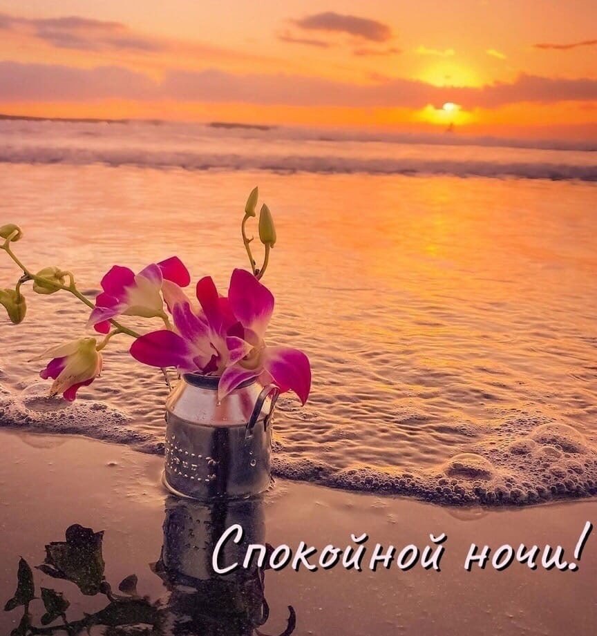   ,    . - 18  2021  22:33 - 5