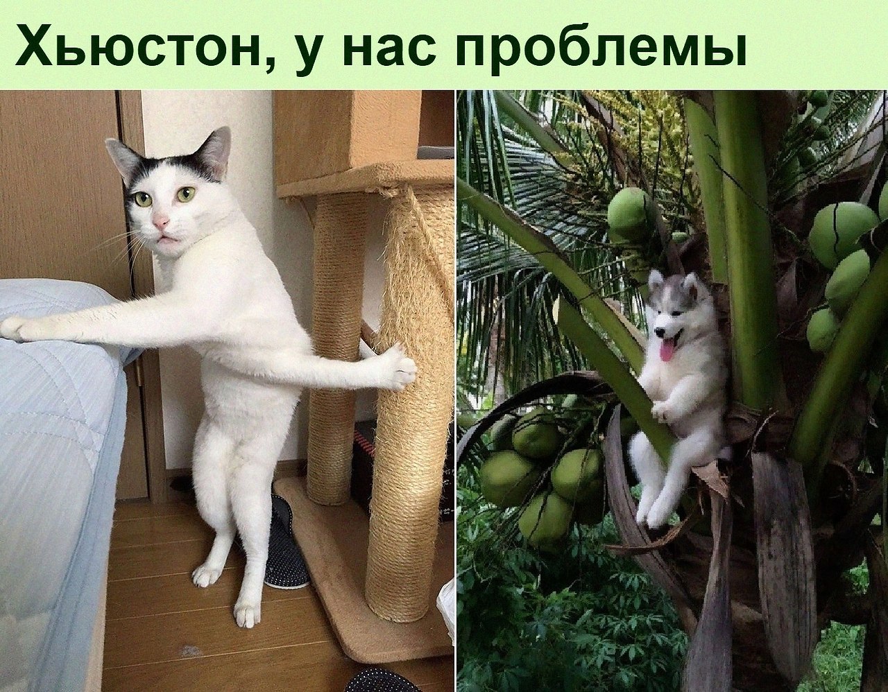   :D - 10  2022  10:21