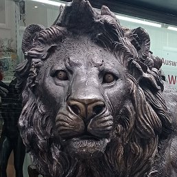 �������, ������, 54 ����