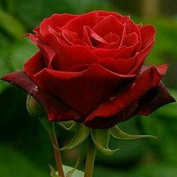 ���� �����, ���� - ��������� 5 ������ 2022