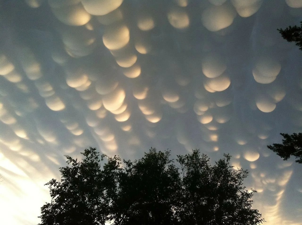    ( mammatus cloud)   . - 2