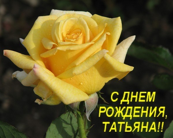   ,    . - 18  2021  00:49