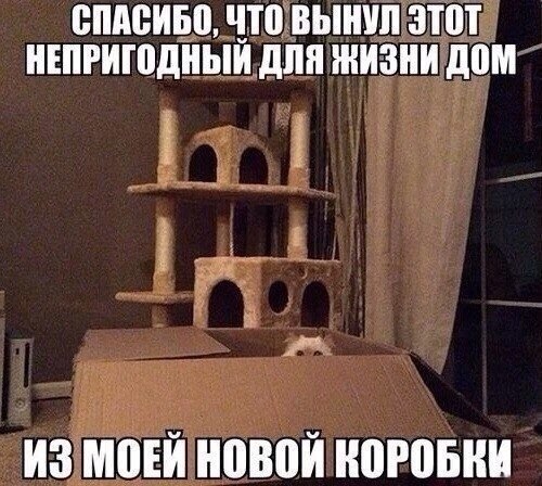    - 31  2021  22:25