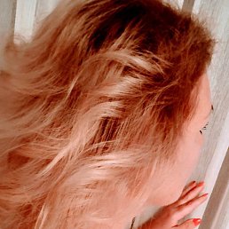 ����, �����-���������, 53 ����