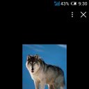���� Nazar, �����, 44 ���� - ��������� 5 ������ 2022