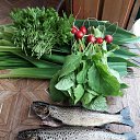 ���� �����, �����-���������, 63 ���� - ��������� 5 ���� 2021 � ������ ������ ��������