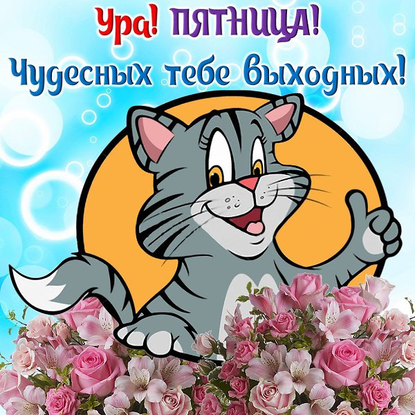   ,    . - 4  2021  14:12